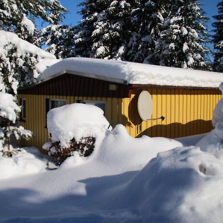 Ferienhaeuser "Zur Hohen Sonne" Thale Extérieur photo