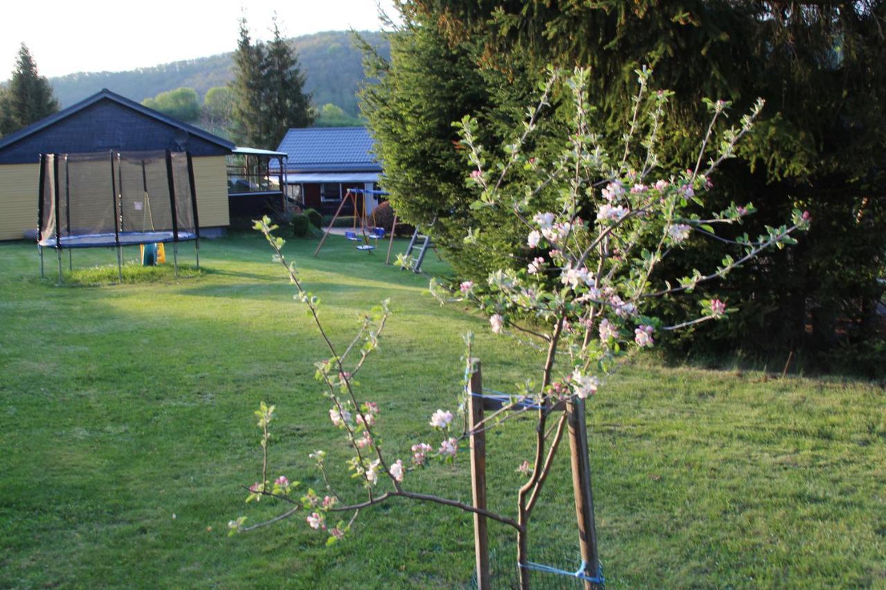 Ferienhaeuser "Zur Hohen Sonne" Thale Extérieur photo