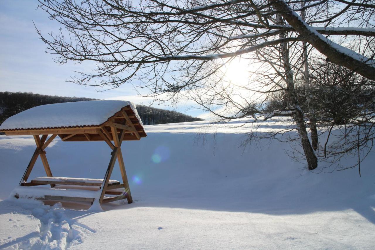 Ferienhaeuser "Zur Hohen Sonne" Thale Extérieur photo